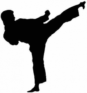 2nd Traditional All Shotokan Karate Tournament